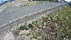 yotec6-20250405151111.jpg