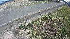 yotec6-20250405153111.jpg