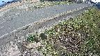 yotec6-20250405155110.jpg