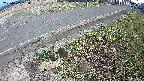 yotec6-20250405160110.jpg