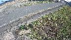 yotec6-20250405161109.jpg