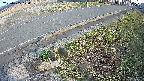 yotec6-20250405170110.jpg