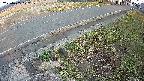 yotec6-20250405172110.jpg