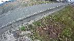 yotec6-20250406051109.jpg