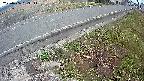yotec6-20250406053113.jpg