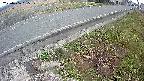 yotec6-20250406055108.jpg