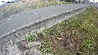 yotec6-20250406061112.jpg
