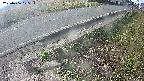 yotec6-20250406075114.jpg
