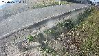 yotec6-20250406080113.jpg