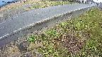 yotec6-20250406161112.jpg