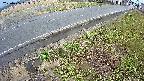 yotec6-20250406163110.jpg