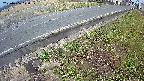 yotec6-20250406170111.jpg