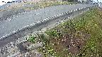 yotec6-20250407052110.jpg