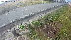 yotec6-20250407053109.jpg