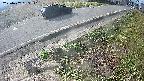 yotec6-20250407083111.jpg