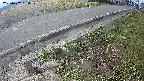 yotec6-20250407084111.jpg