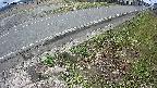 yotec6-20250407101111.jpg
