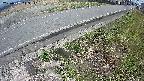 yotec6-20250407113112.jpg
