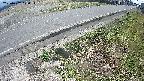 yotec6-20250407120114.jpg