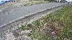 yotec6-20250407144113.jpg