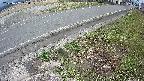 yotec6-20250407150111.jpg