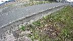 yotec6-20250407163111.jpg