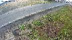 yotec6-20250408052109.jpg