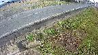 yotec6-20250408064109.jpg
