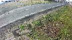 yotec6-20250408065112.jpg
