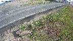 yotec6-20250408071107.jpg