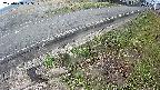 yotec6-20250408075110.jpg