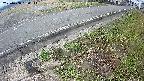 yotec6-20250408080113.jpg