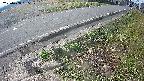 yotec6-20250408085109.jpg