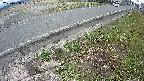 yotec6-20250408101110.jpg