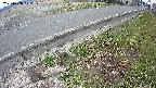 yotec6-20250408102107.jpg