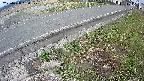 yotec6-20250408150109.jpg