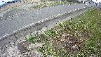 yotec6-20250408152110.jpg