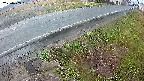 yotec6-20250409051111.jpg
