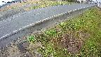 yotec6-20250409063109.jpg