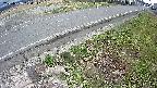 yotec6-20250409124112.jpg