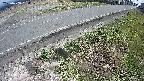 yotec6-20250409130111.jpg