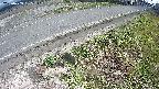 yotec6-20250409135112.jpg