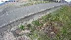 yotec6-20250409140113.jpg