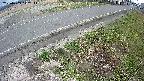 yotec6-20250409142113.jpg