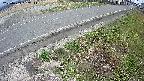 yotec6-20250409152113.jpg