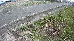 yotec6-20250409164111.jpg