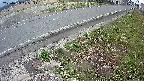 yotec6-20250409175113.jpg