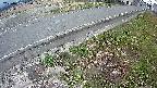 yotec6-20250409180109.jpg