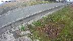 yotec6-20250410052110.jpg