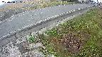 yotec6-20250410053110.jpg